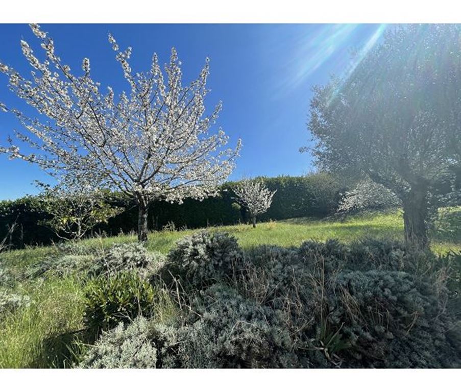 Terrain POMPERTUZAT 125000€ IMMODISPO