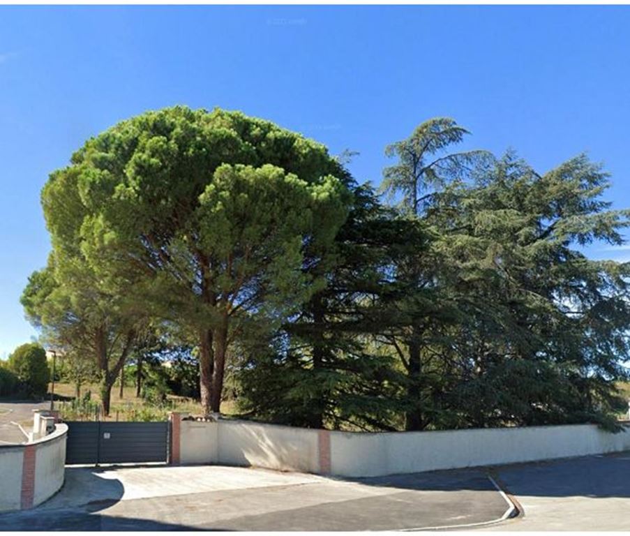 Terrain POMPERTUZAT 119000€ IMMODISPO